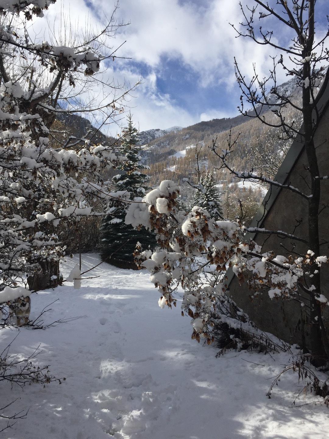 JARDIN HIVER